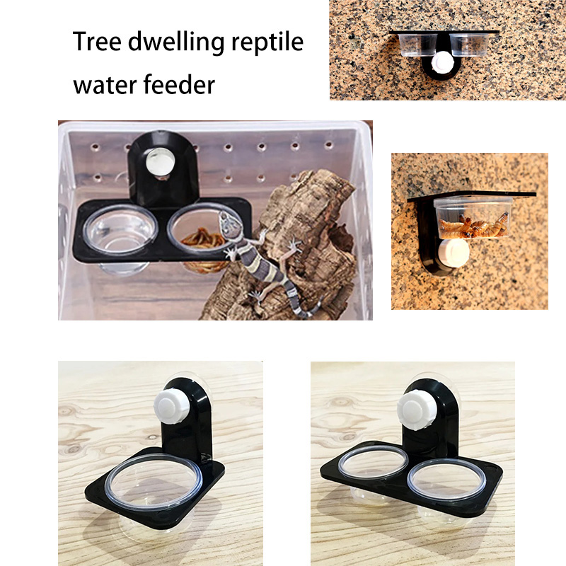 Snake Plant - Reptile Tank Accessories Insect Spider Ants