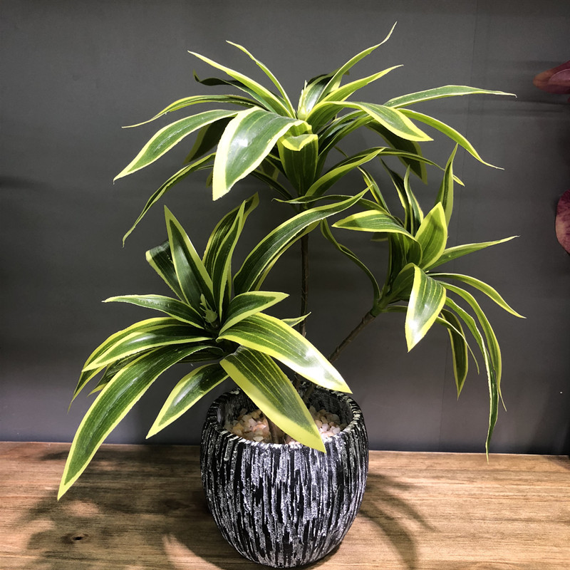 Snake Plant - 35CM 3 Dĩa Nhân Tạo Để