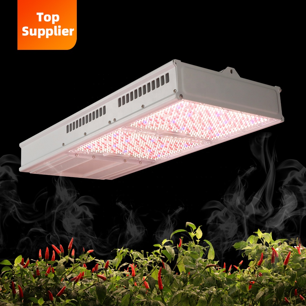 Cost-Effective 600W 800W Topli - đánh giá và giá Indoor Plants