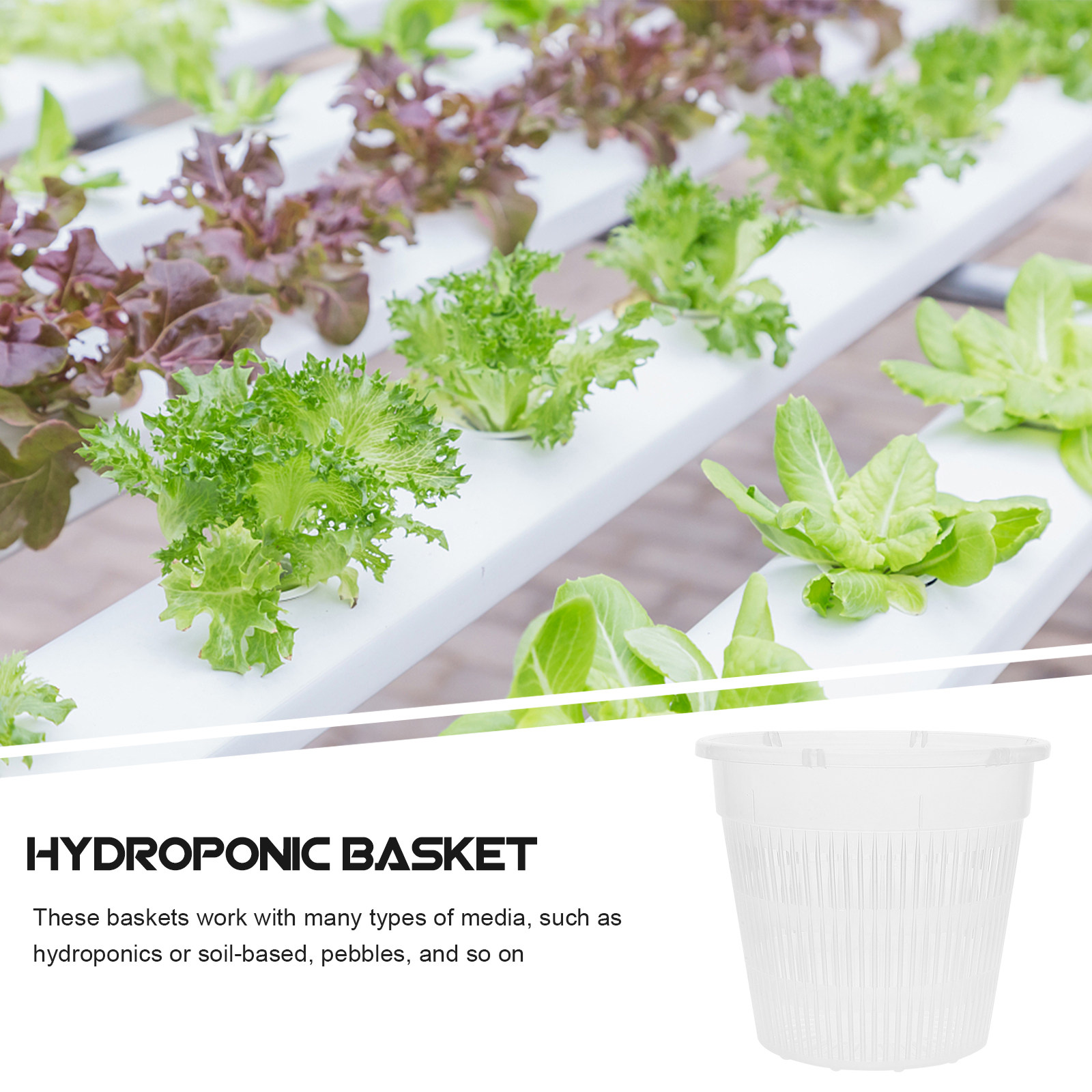 5Pcs Hydroponic Planting Net P - đánh giá và giá Indoor Plants