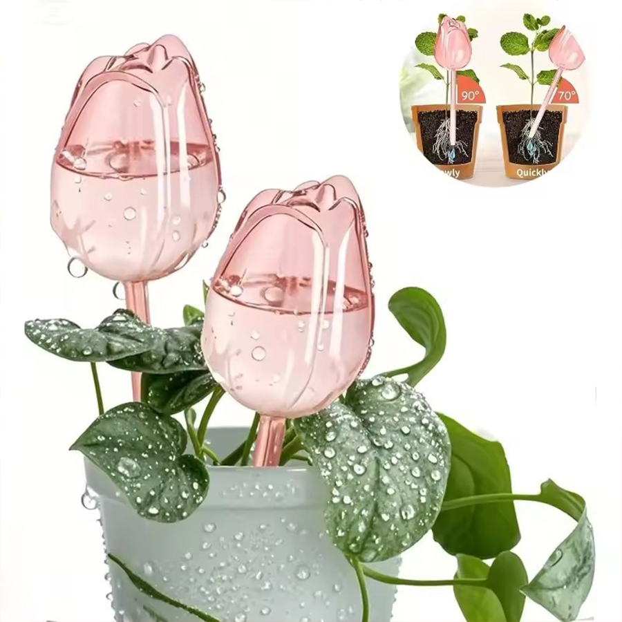Transparent Thick PET Tulip Sh - đánh giá và giá Pothos