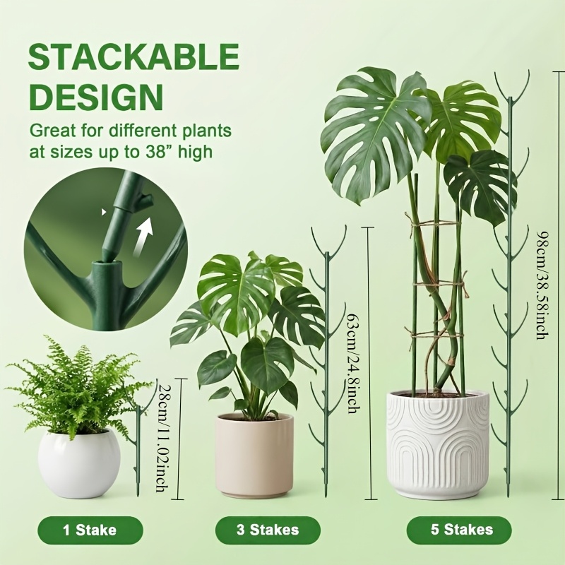 Monstera Plant Support Stakes  - đánh giá và giá Plant Support Stake