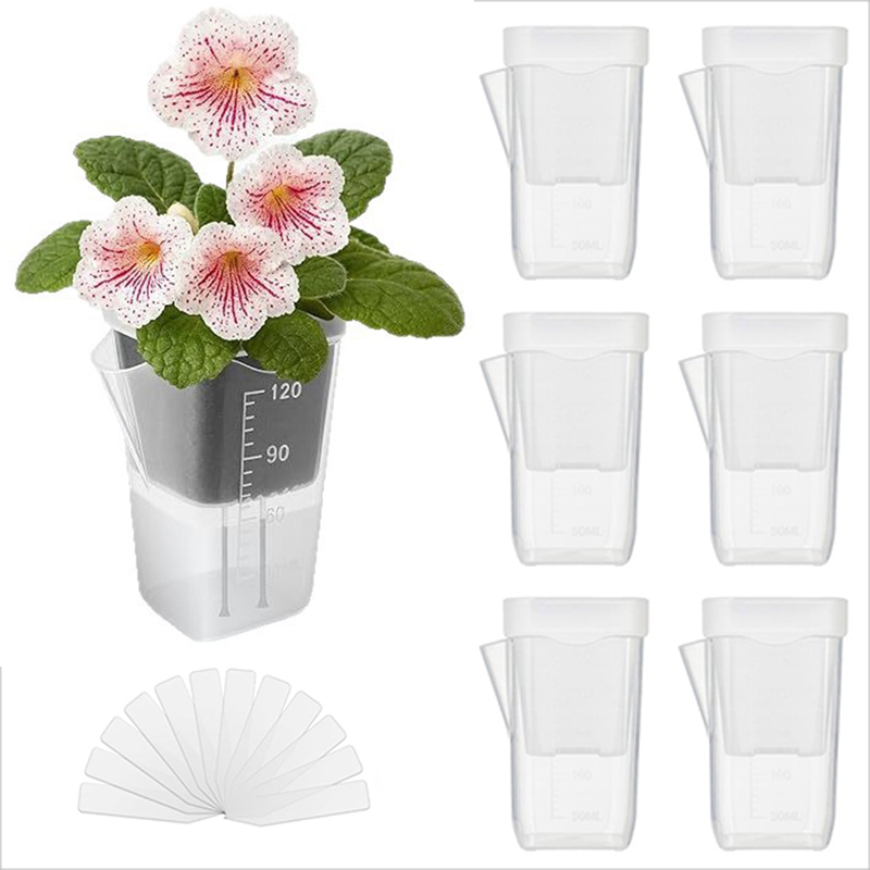 16/32 Pack Self-Watering Plant - đánh giá và giá Pothos