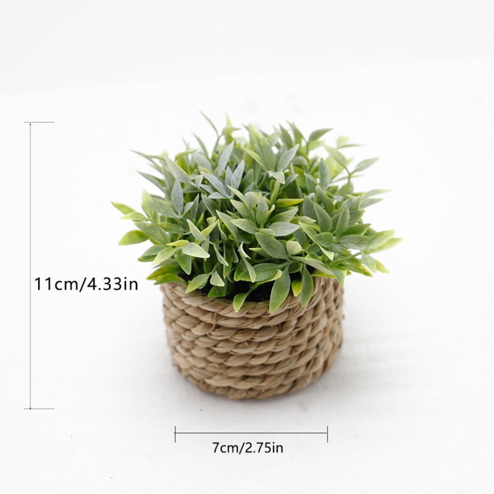Green Artificial Potted Plant  - đánh giá và giá Succulent Set