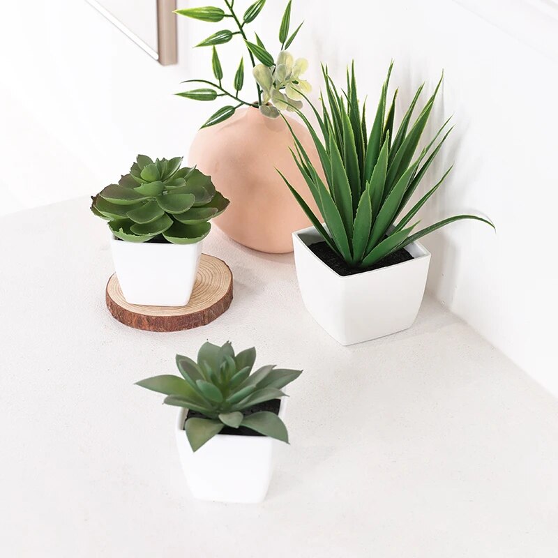 3PCS Artificial Evergreen Plan - đánh giá và giá Succulent Set