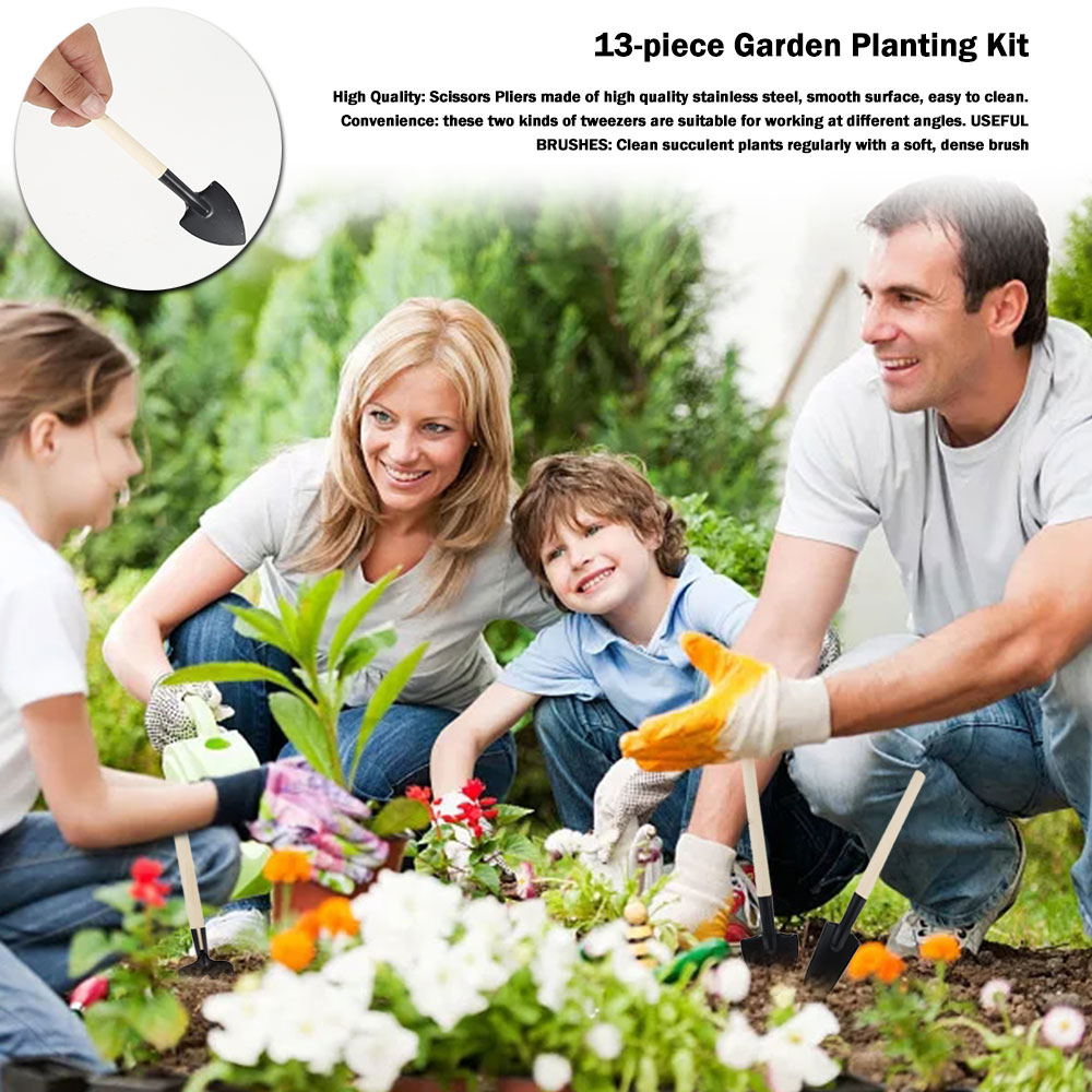 Succulent Plants Tools Mini Ga - đánh giá và giá Succulent Set